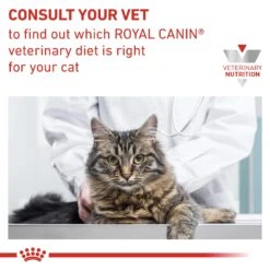 Royal Canin Veterinary Diet Feline Adult Urinary S/O Dry Cat Food - 3.5kg -Cat Mania Shop Royal Canin Feline Urinary S O Dry Cat Food 3 5Kg vetshop 7