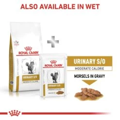 Royal Canin Veterinary Diet Feline Adult Urinary S/O Moderate Calorie Dry Cat Food - 7kg -Cat Mania Shop Royal Canin Feline Urinary S O Moderate Calorie Dry Cat Food 7Kg vetshop 7