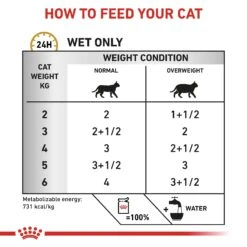 Royal Canin Veterinary Diet Feline Adult Urinary Moderate Calorie In Gravy Wet Cat Food Pouches- 48 X 85g 14 Royal Canin Veterinary Diet Feline Adult Urinary Moderate Calorie In Gravy Wet Cat Food Pouches- 48 X 85g -Cat Mania Shop Royal Canin Feline Urinary S O Moderate Calorie Wet Cat Food 48 x 100G vetshop 5