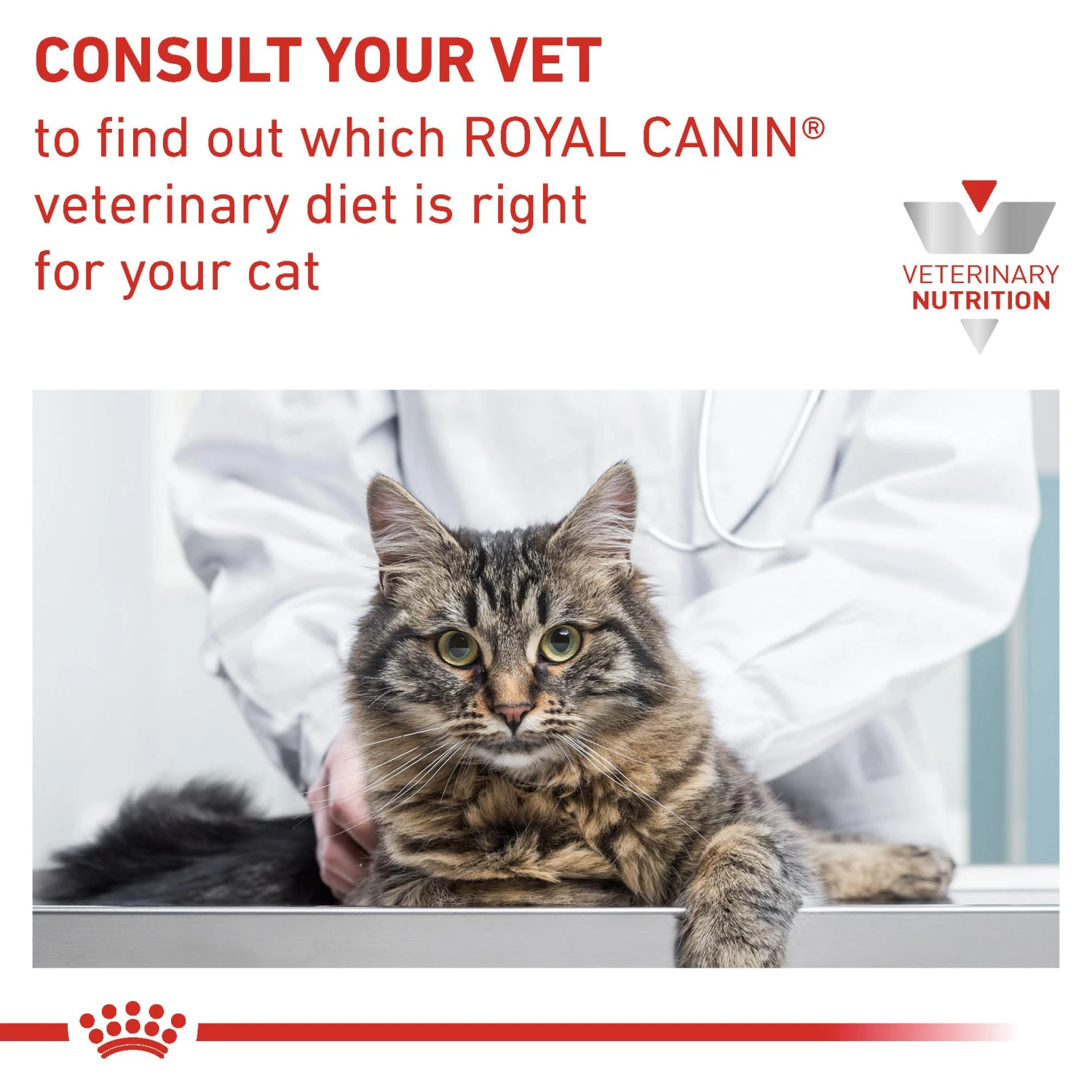 Royal Canin Veterinary Diet Feline Adult Urinary Moderate Calorie In Gravy Wet Cat Food Pouches- 48 X 85g 10 Royal Canin Veterinary Diet Feline Adult Urinary Moderate Calorie In Gravy Wet Cat Food Pouches- 48 X 85g - Image 8