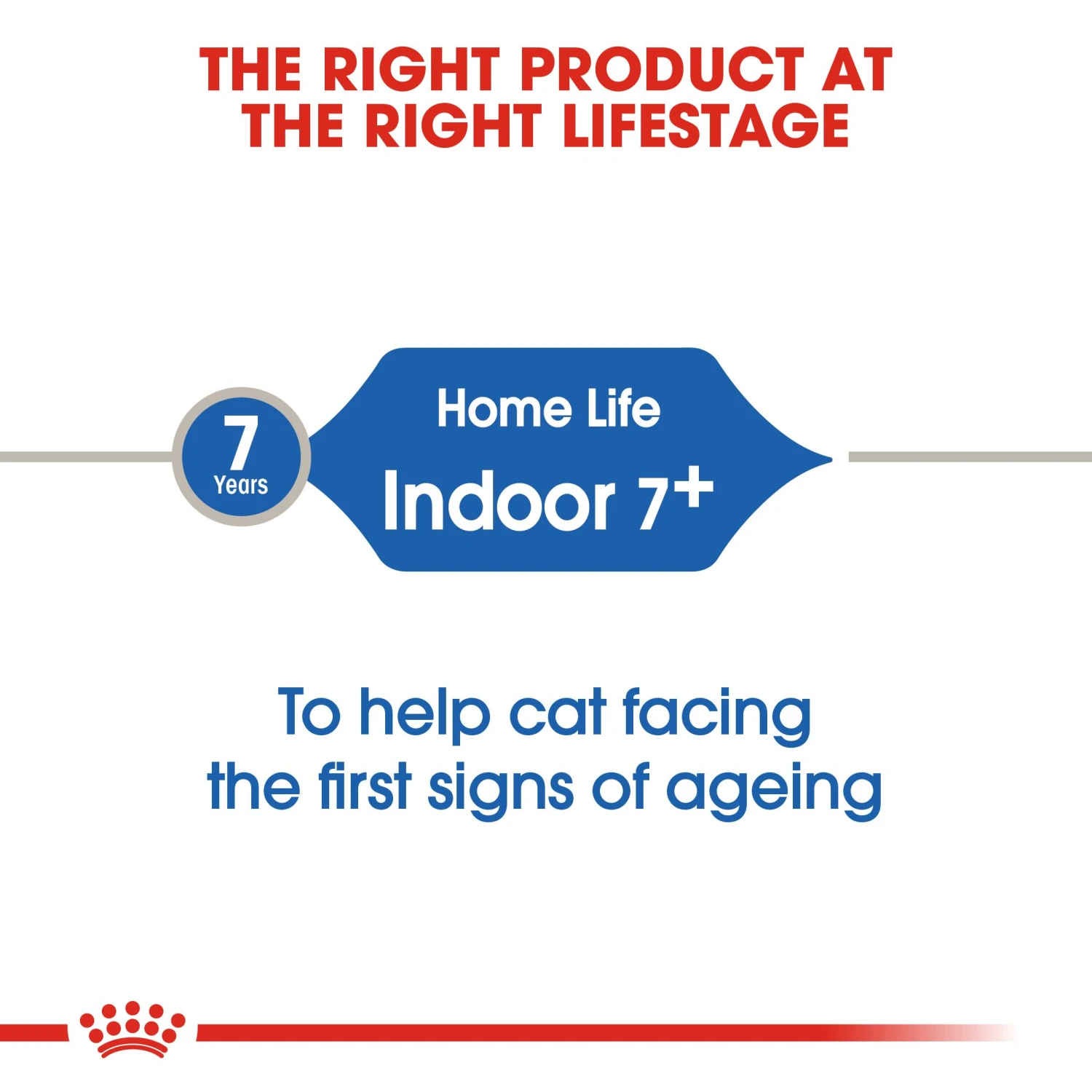Royal Canin 7+ Indoor Dry Adult Cat Food - 1.5kg 8 Royal Canin 7+ Indoor Dry Adult Cat Food - 1.5kg - Image 6