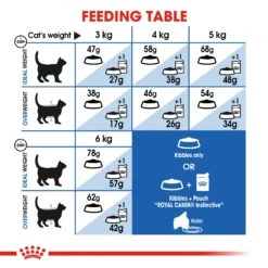 Royal Canin Feline Adult Indoor Appetite Control Dry Cat Food - 4kg -Cat Mania Shop Royal Canin Indoor Appetite Control Dry Cat Food 4kg vetshop 4