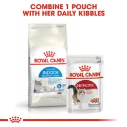 Royal Canin Feline Adult Indoor Appetite Control Dry Cat Food - 4kg -Cat Mania Shop Royal Canin Indoor Appetite Control Dry Cat Food 4kg vetshop 5
