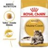 Royal Canin Maine Coon Adult Dry Cat Food - 2kg -Cat Mania Shop Royal Canin Maine Coon Dry Adult Cat Food 2kg vetshop 1