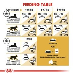 Royal Canin Maine Coon Adult Dry Cat Food - 2kg -Cat Mania Shop Royal Canin Maine Coon Dry Adult Cat Food 2kg vetshop 3