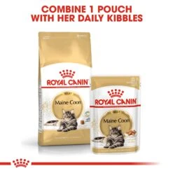 Royal Canin Maine Coon Adult Dry Cat Food - 2kg -Cat Mania Shop Royal Canin Maine Coon Dry Adult Cat Food 2kg vetshop 4