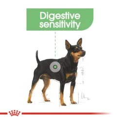 Royal Canin Mini Digestive Care Dry Adult Dog Food - 3kg -Cat Mania Shop Royal Canin Mini Digestive Care Dry Dog Food 2kg vetshop 3