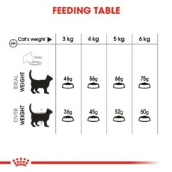 Royal Canin Oral Care Dry Adult Cat Food - 8kg -Cat Mania Shop Royal Canin Oral Care Dry Cat Food 8kg vetshop 4