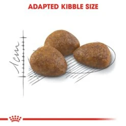 Royal Canin Outdoor 7+ Dry Adult Cat Food - 10kg 17 Royal Canin Outdoor 7+ Dry Adult Cat Food - 10kg -Cat Mania Shop Royal Canin Outdoor 7 Dry Cat Food 10kg vetshop 6