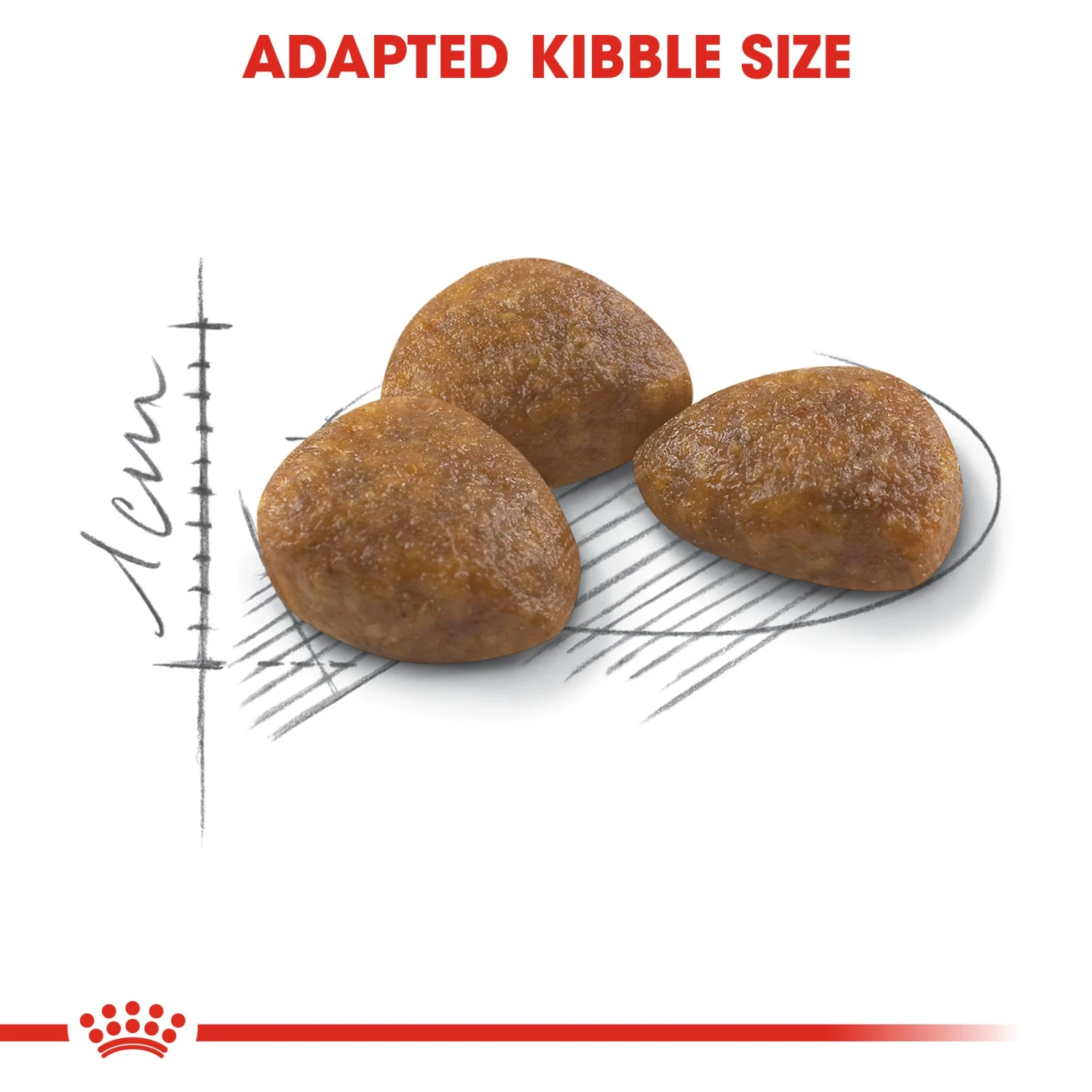 Royal Canin Outdoor 7+ Dry Adult Cat Food - 10kg 9 Royal Canin Outdoor 7+ Dry Adult Cat Food - 10kg - Image 7