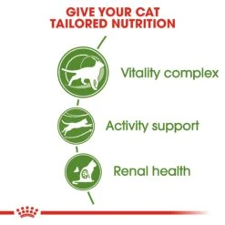 Royal Canin Outdoor 7+ Dry Adult Cat Food - 10kg 18 Royal Canin Outdoor 7+ Dry Adult Cat Food - 10kg -Cat Mania Shop Royal Canin Outdoor 7 Dry Cat Food 10kg vetshop 7
