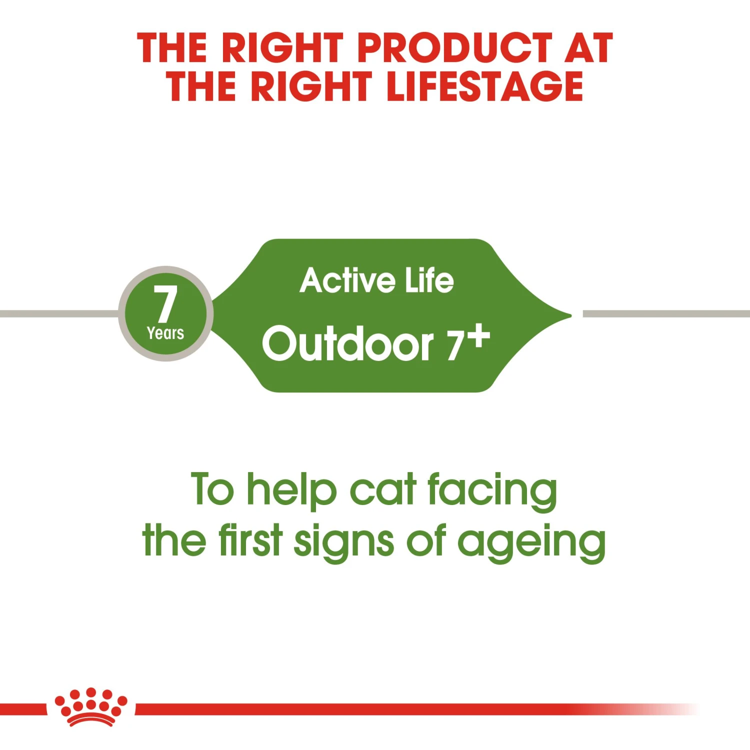 Royal Canin Outdoor 7+ Dry Adult Cat Food - 10kg 11 Royal Canin Outdoor 7+ Dry Adult Cat Food - 10kg - Image 9