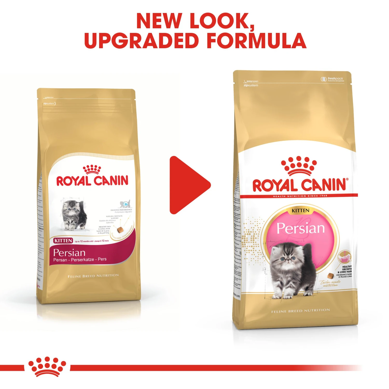 Royal Canin Kitten Persian Dry Cat Food - 4kg 5 Royal Canin Kitten Persian Dry Cat Food - 4kg - Image 3