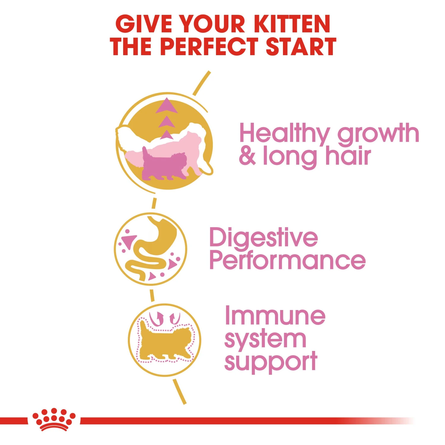 Royal Canin Kitten Persian Dry Cat Food - 4kg 9 Royal Canin Kitten Persian Dry Cat Food - 4kg - Image 7