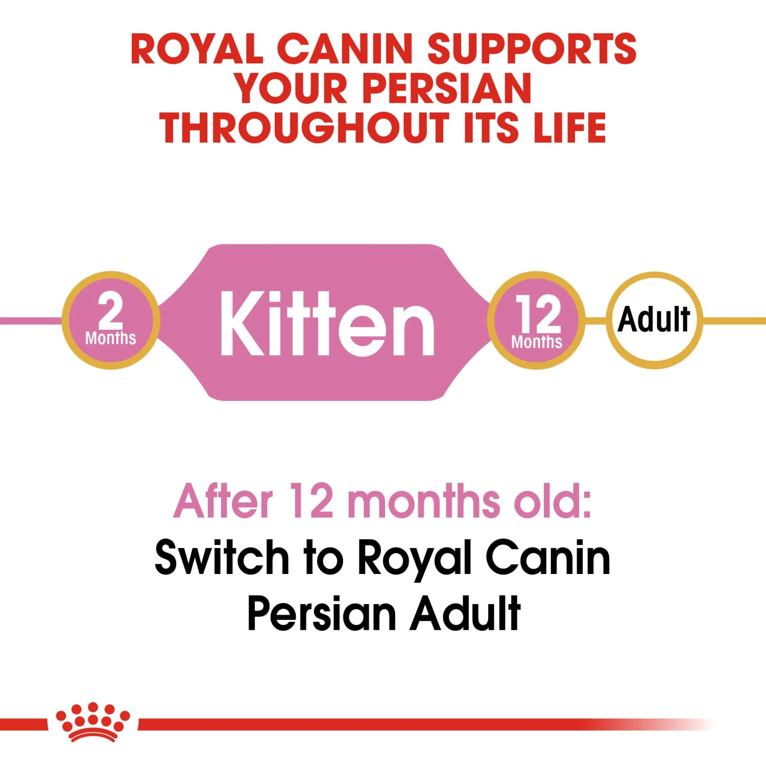 Royal Canin Kitten Persian Dry Cat Food - 4kg 10 Royal Canin Kitten Persian Dry Cat Food - 4kg - Image 8