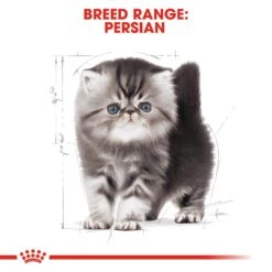 Royal Canin Kitten Persian Dry Cat Food - 4kg 19 Royal Canin Kitten Persian Dry Cat Food - 4kg -Cat Mania Shop Royal Canin Persian Dry Kitten Food 4kg vetshop 8