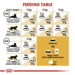 Royal Canin Siamese Dry Adult Cat Food - 10kg -Cat Mania Shop Royal Canin Siamese Dry Cat Food 10kg vetshop 3