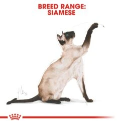 Royal Canin Siamese Dry Adult Cat Food - 10kg -Cat Mania Shop Royal Canin Siamese Dry Cat Food 10kg vetshop 7