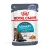 Royal Canin Urinary Care Wet Cat Food In Jelly - 12x85g -Cat Mania Shop Royal Canin Urinary Care Wet Cat Food 12x85g vetshop 1