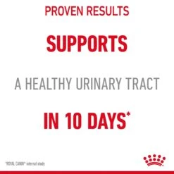 Royal Canin Urinary Care Wet Cat Food In Jelly - 12x85g -Cat Mania Shop Royal Canin Urinary Care Wet Cat Food 12x85g vetshop 9