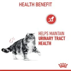 Royal Canin Urinary Care Wet Cat Food In Jelly - 12x85g -Cat Mania Shop Royal Canin Urinary Care Wet Cat Food 12x85g vetshop 98