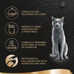 Sheba Fresh & Fine Poultry Collection In Gravy Wet Cat Food Pouches - 50 X 50g 7 Sheba Fresh & Fine Poultry Collection In Gravy Wet Cat Food Pouches - 50 X 50g -Cat Mania Shop Sheba Mini Poultry Collection Gravy Wet Cat Food Pouches 50x50g vetshop 3