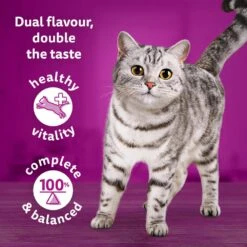WHISKAS 1+ Duo Surf And Turf Adult Wet Cat Food In Jelly Pouches - 80 X 85g -Cat Mania Shop WHISKAS 1 Cat Pouches Duo Surf Turf in Jelly Giant Pack 80x85g vetshop 5